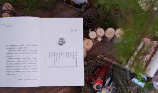 朋友圈发烟花配文字