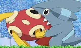 神奇宝贝喷火龙山谷 神奇宝贝喷火龙山谷