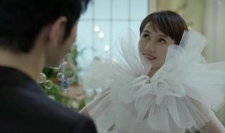 《玫瑰之战》官宣阵容 《玫瑰之战》官宣阵容