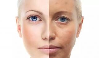 最好的胶原蛋白 最好的胶原蛋白