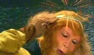 我和孙悟空过一天 我和孙悟空过一天