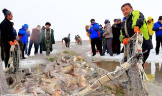 博斯腾湖位于哪个县 博斯腾湖位于哪个县